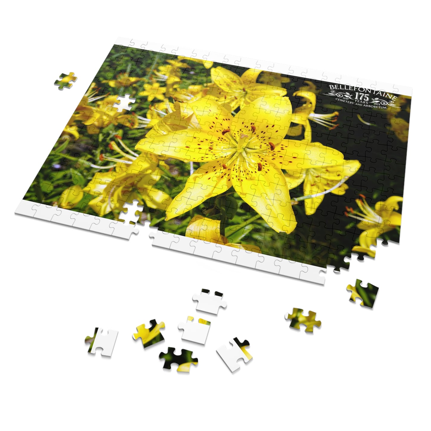 Jigsaw Puzzle (30, 110, 252, 500,1000-Piece)