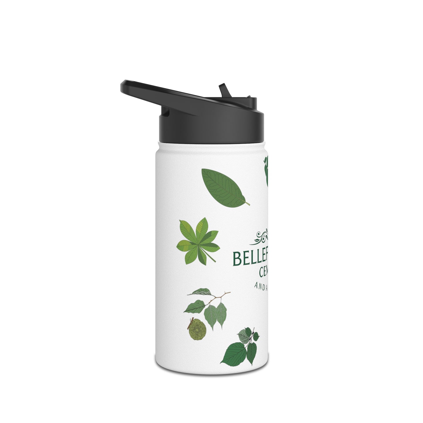 Stainless Steel Water Bottle, Standard Lid