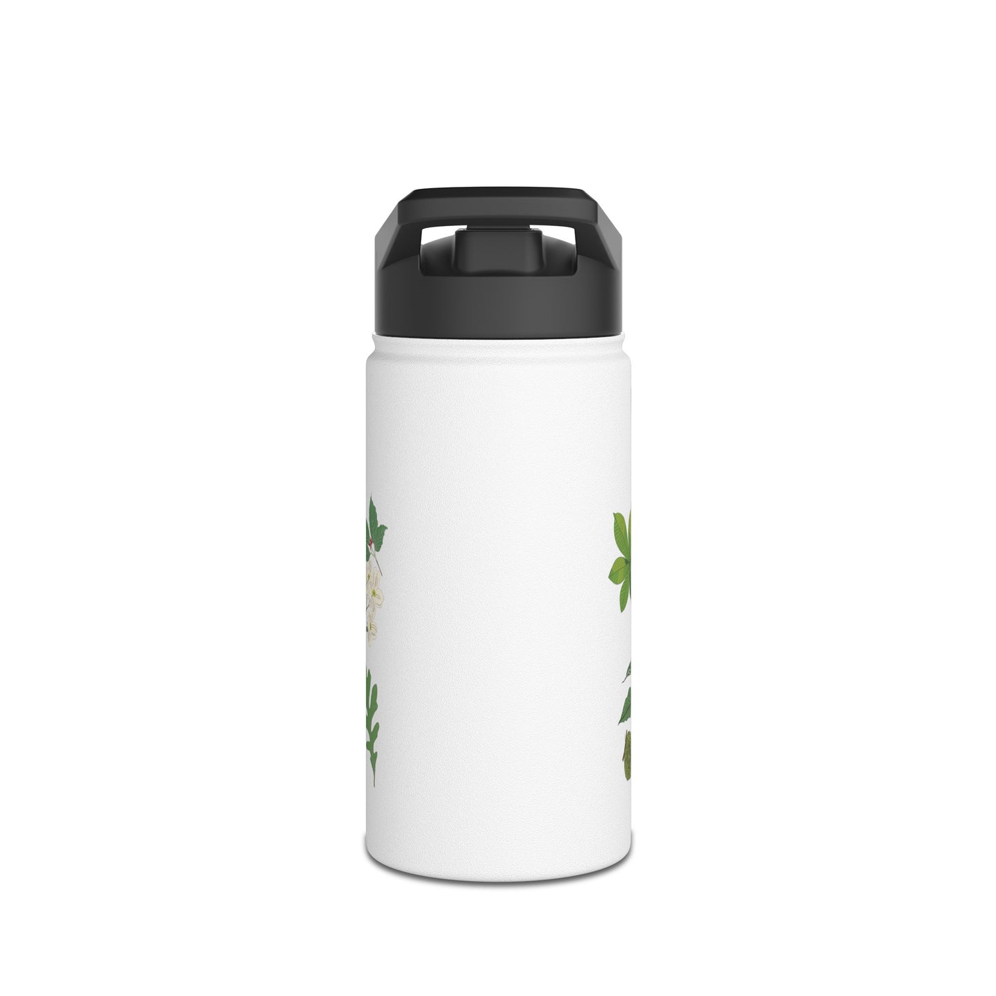 Stainless Steel Water Bottle, Standard Lid