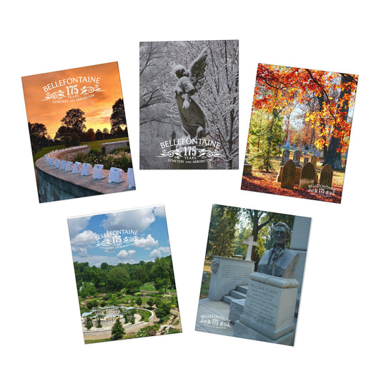 Multi-Design Greeting Cards (5-Pack)